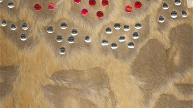 collection 4 cut steel+studs on shorn kidskin